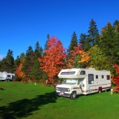 Oasis Motel and Campground: Our Campground